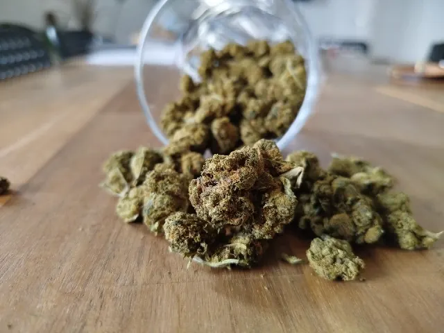 在线订购大麻！#GameChanger 与 CannaZen 的体验