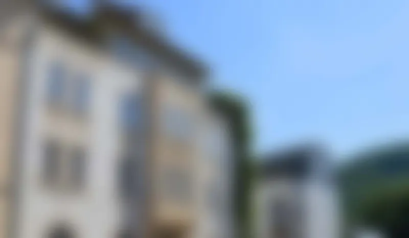 威斯巴登（Wiesbaden）380 m²公寓住宅，带 40-70 m²公寓 – 已分割！- 市场外